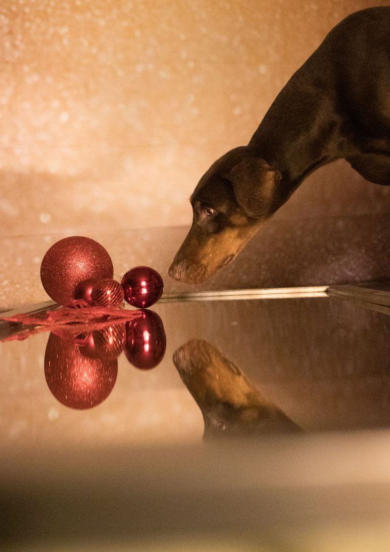 Home 3R3A4661 Bearbeitet 768x1086