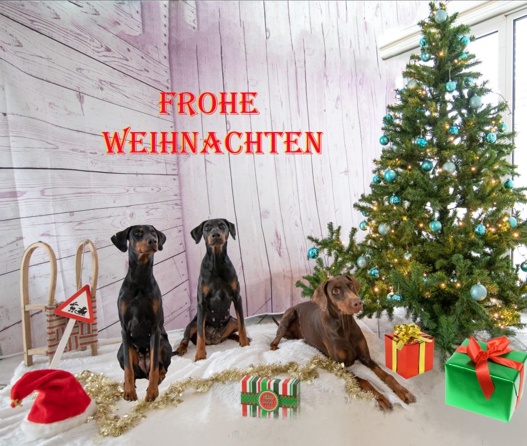 Weihnachten2022SS 1024x868