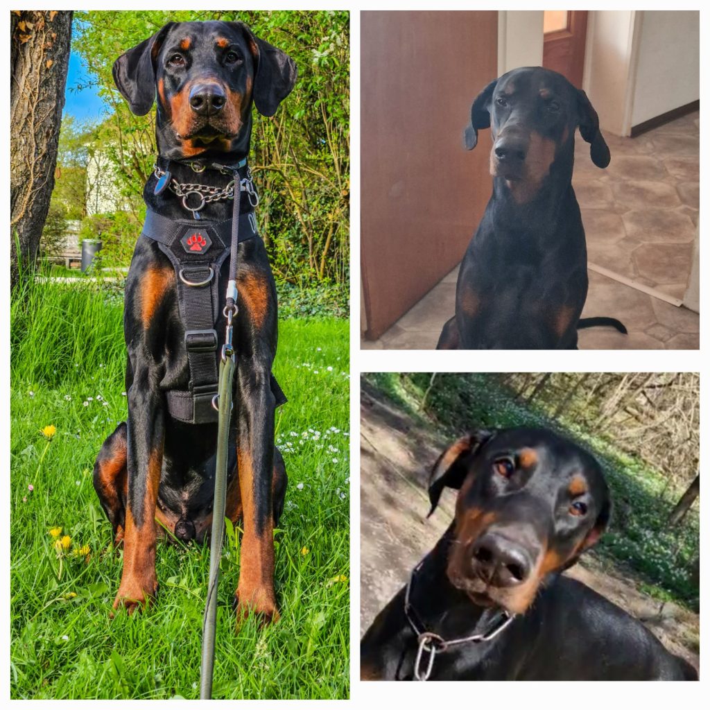 20230510 205916 1024x1024