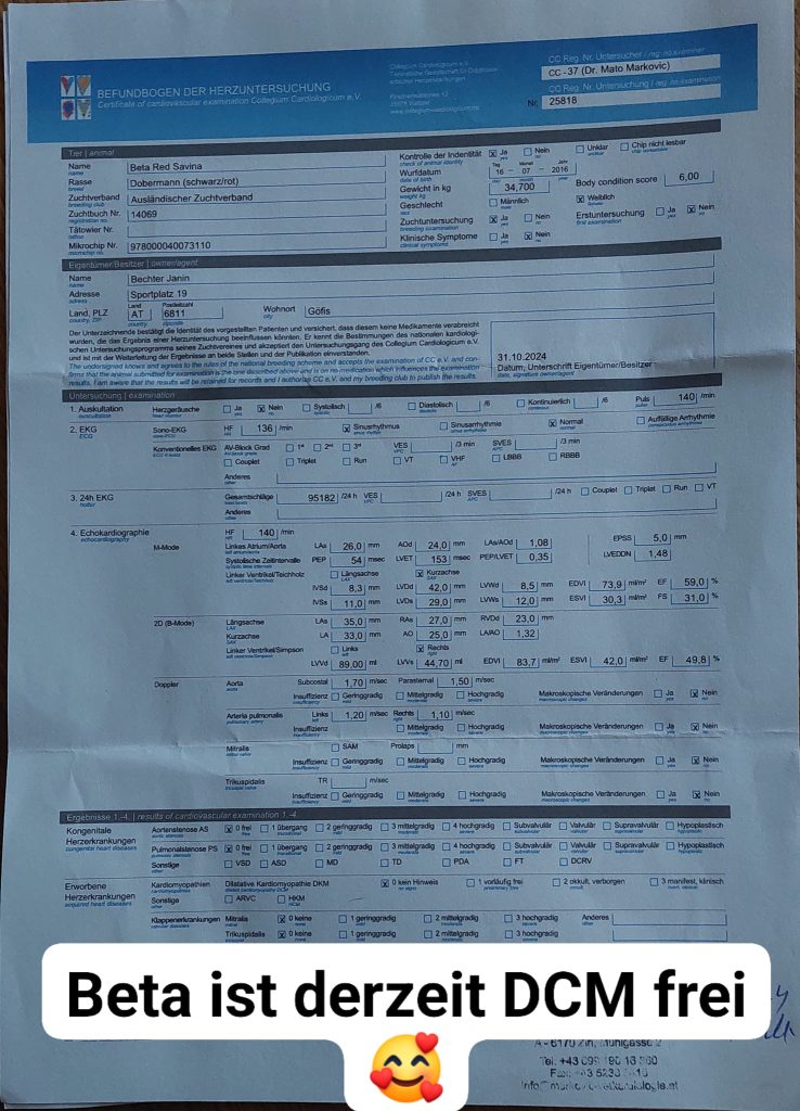 468009880 955887933252430 4147383188735808168 N 738x1024