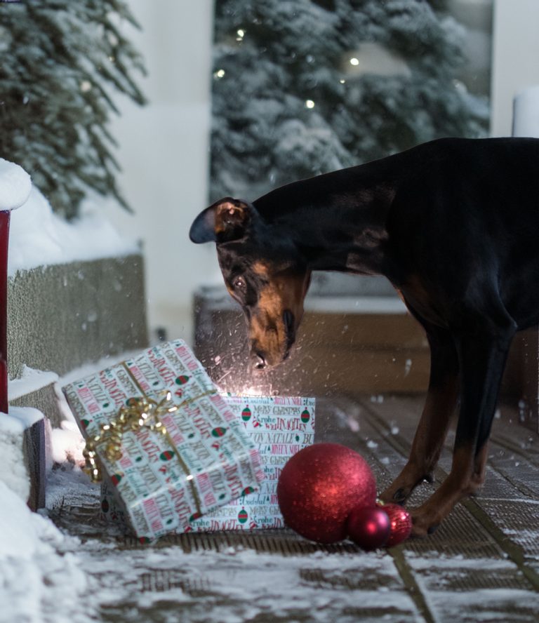 Home 3R3A4675 Bearbeitet 768x888