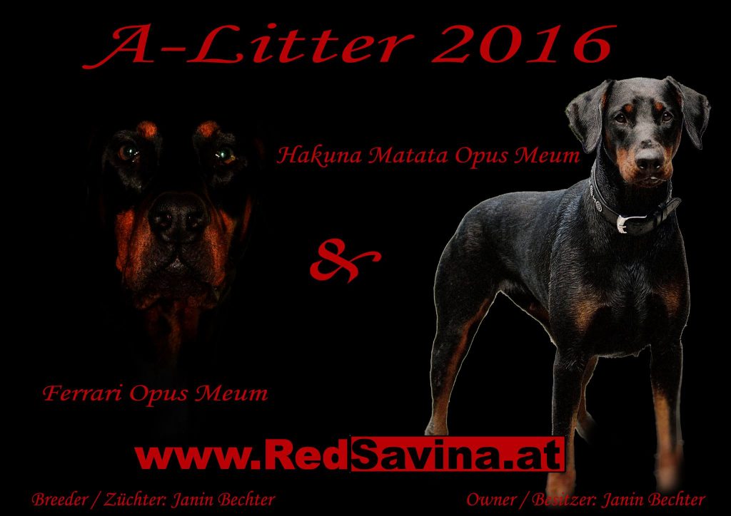 wurfplanung a litter